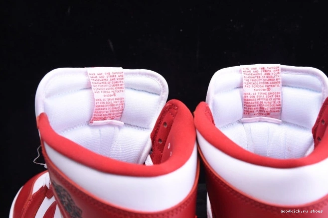 Rep 'New Beginnings' Jordan High OG 1 CQ4921-601 '85 Retro Air 0707